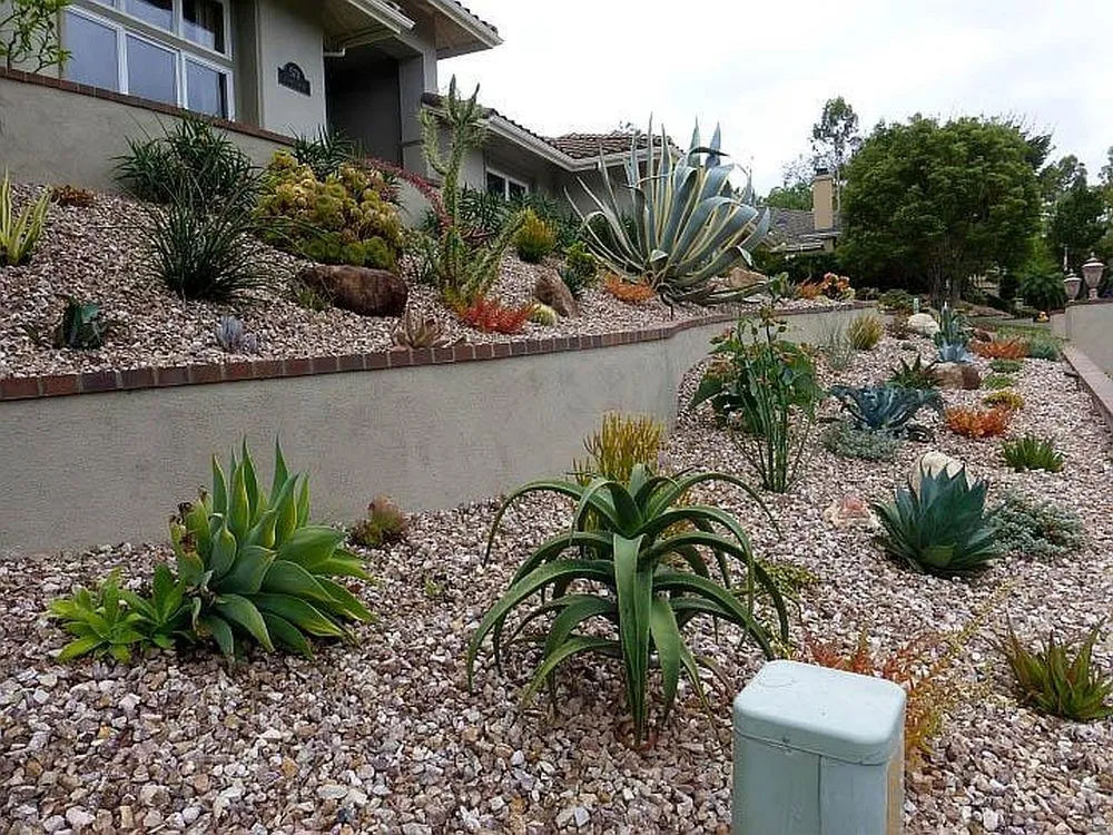 Affordable lawn care service experts serving Lake Forest, CA - Top Quality Landscapes