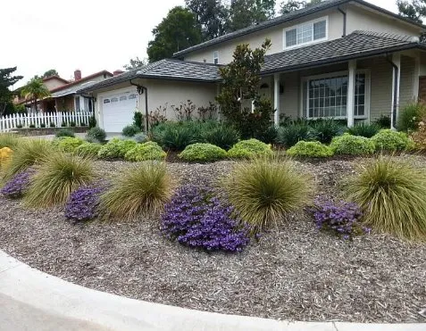 Professional yard maintenance experts serving Lake Forest, CA - Top Quality Landscapes