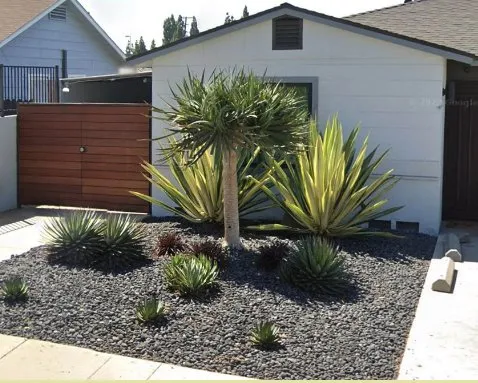 Professional lawn mowing service for year-round maintenance across Lake Forest, CA - Top Quality Landscapes