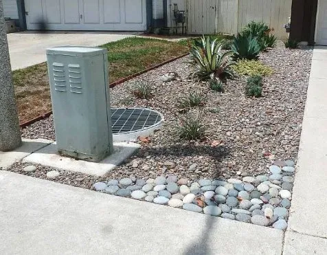 Trusted lawn care service for beautiful yards in Lake Forest, CA by Top Quality Landscapes