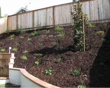 Expert lawn care service for outdoor upgrades across Lake Forest, CA - Top Quality Landscapes