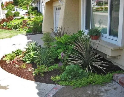 Top-rated lawn care service in Lake Forest, CA by Top Quality Landscapes