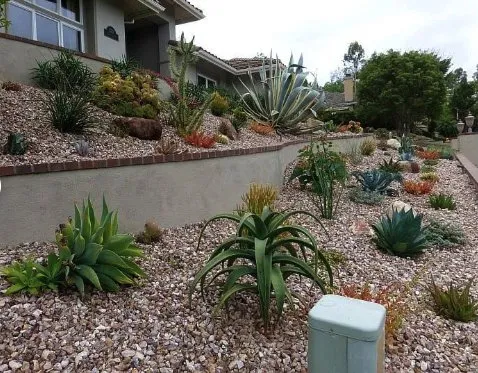 Top-rated lawn mowing service in Lake Forest, CA by Top Quality Landscapes