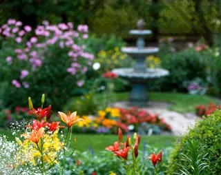 Local landscaping services in Lake Forest, CA by Top Quality Landscapes