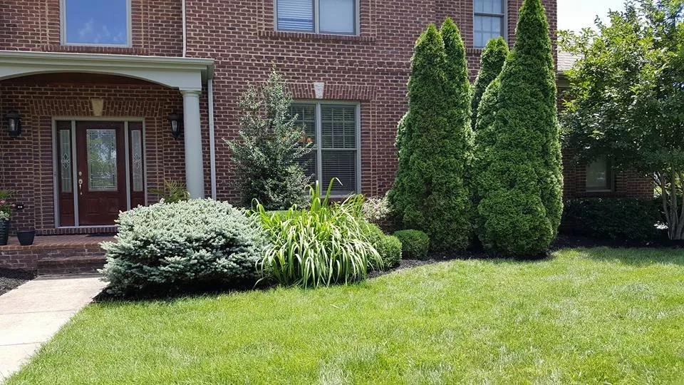 Local lawn care service experts serving Lexington, KY - Top Quality Landscaping & Trees