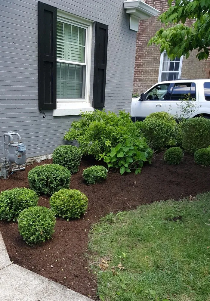 Reliable garden landscaping with custom design across Lexington, KY - Top Quality Landscaping & Trees