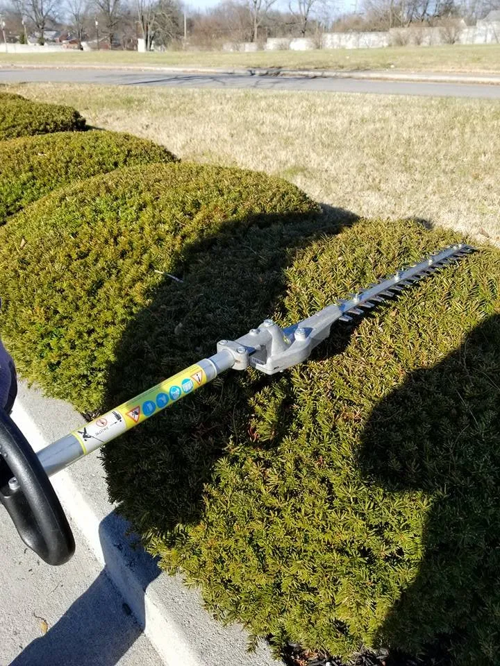 Local outdoor landscaping in Lexington, KY by Top Quality Landscaping & Trees