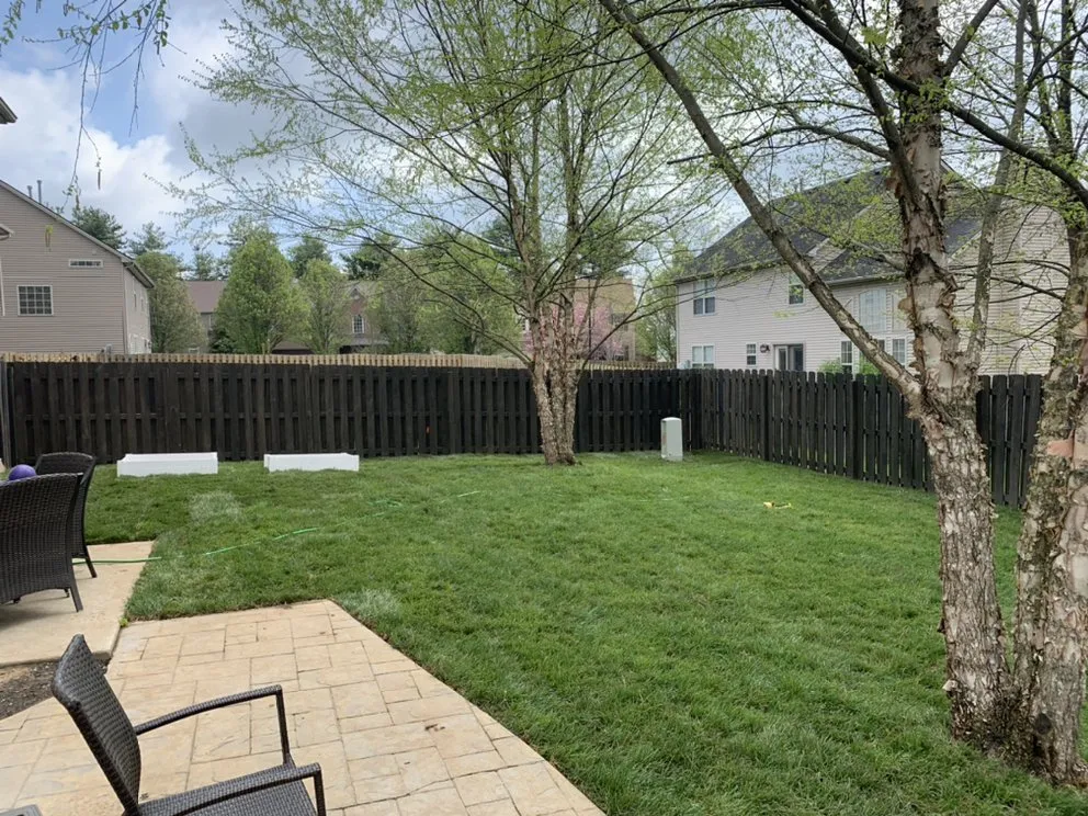 Reliable lawn care service experts serving Lexington, KY - Top Quality Landscaping & Trees