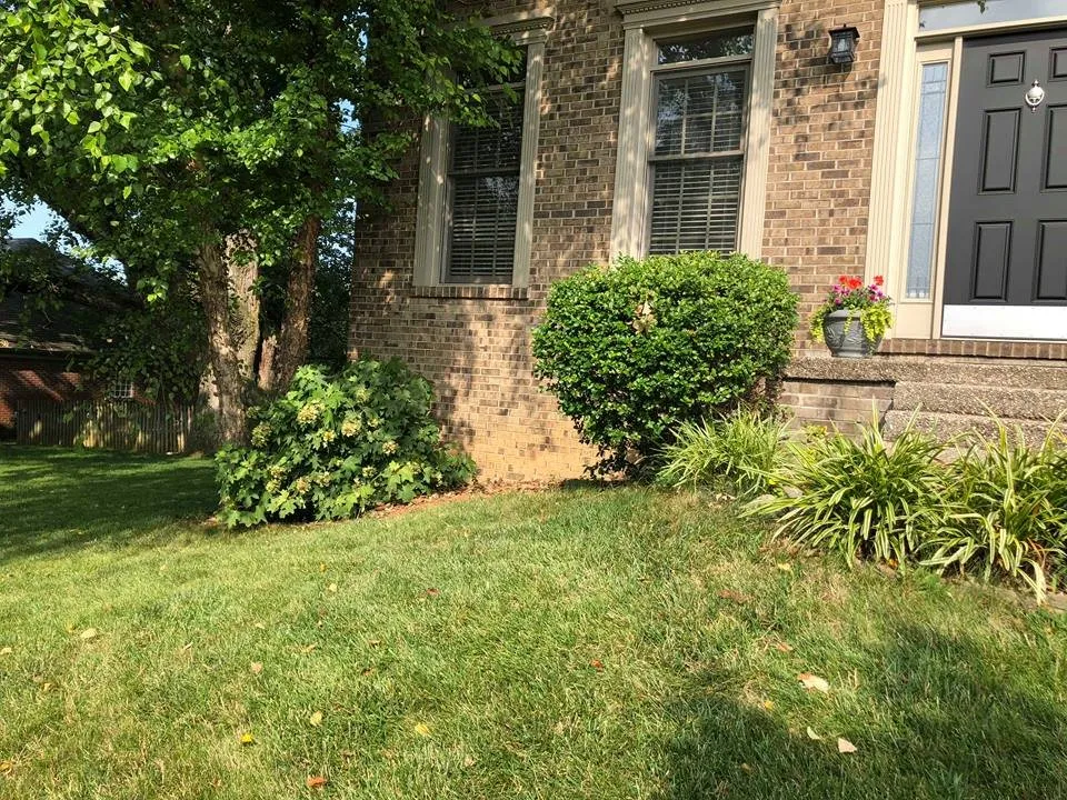 Professional landscape installation experts serving Lexington, KY - Top Quality Landscaping & Trees