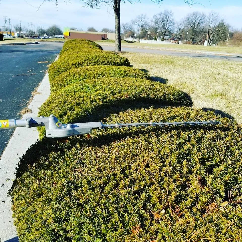 Reliable outdoor landscaping for beautiful yards in Lexington, KY by Top Quality Landscaping & Trees