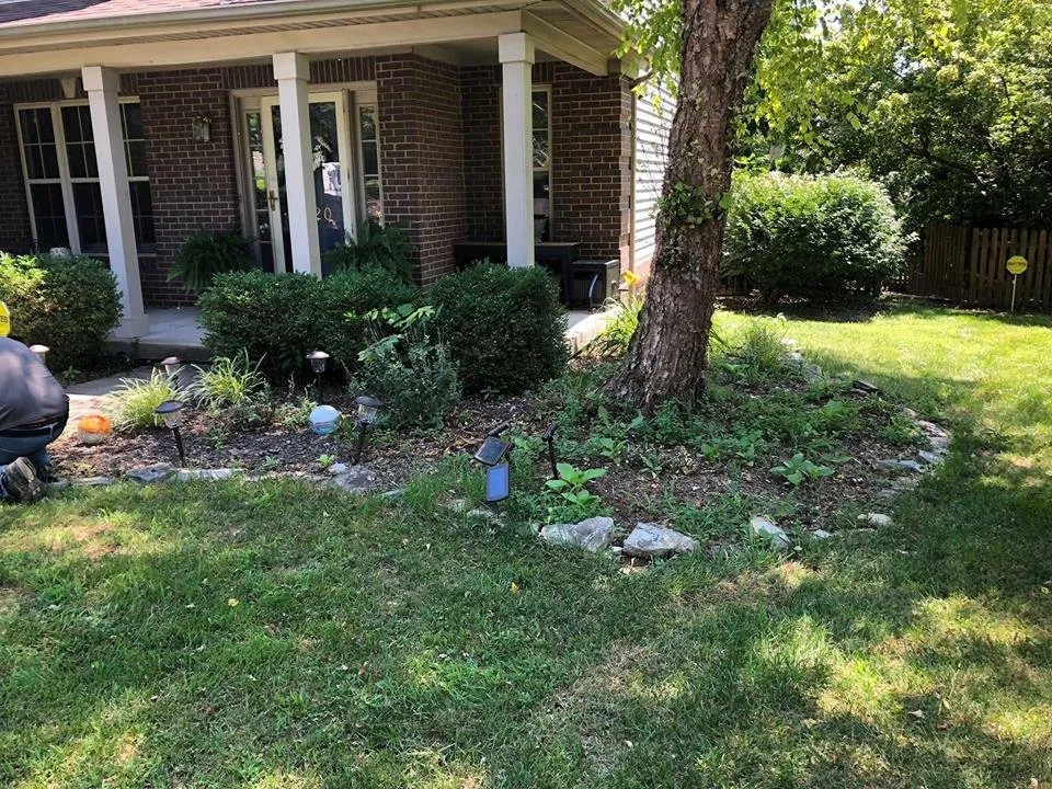 Reliable yard maintenance for residential properties across Lexington, KY - Top Quality Landscaping & Trees