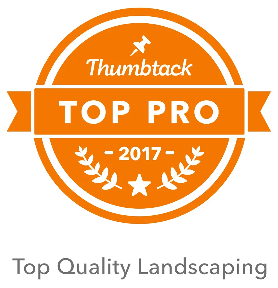 Trusted yard cleanup service for beautiful yards across Lexington, KY - Top Quality Landscaping & Trees