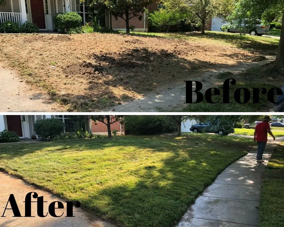 Trusted yard maintenance experts serving Lexington, KY - Top Quality Landscaping & Trees