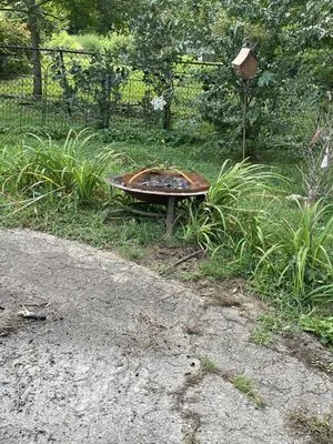 Top Quality Landscaping & Trees Logo