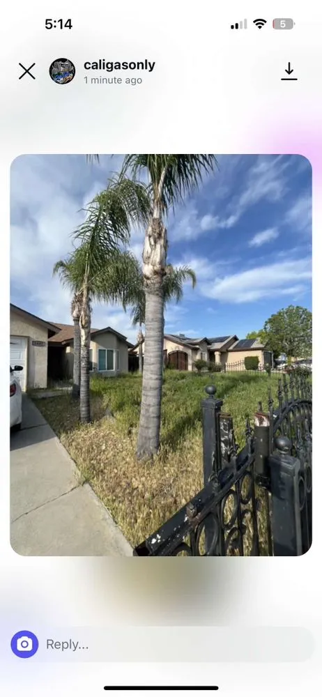 Expert yard maintenance for beautiful yards across Bakersfield, CA - Top Quality Landscaping