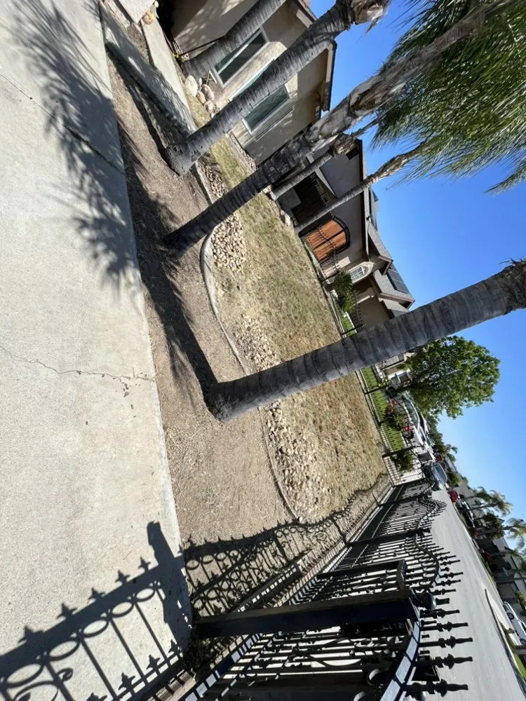 Professional yard maintenance for homes in Bakersfield, CA by Top Quality Landscaping