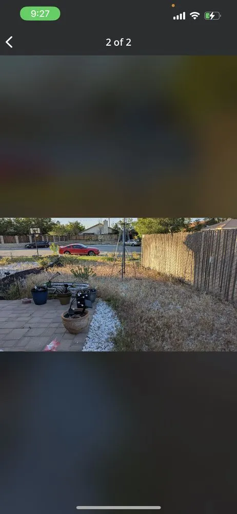 Local yard cleanup service experts serving Bakersfield, CA - Top Quality Landscaping