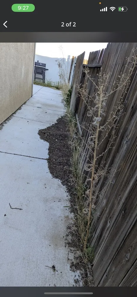 Affordable yard maintenance experts serving Bakersfield, CA - Top Quality Landscaping