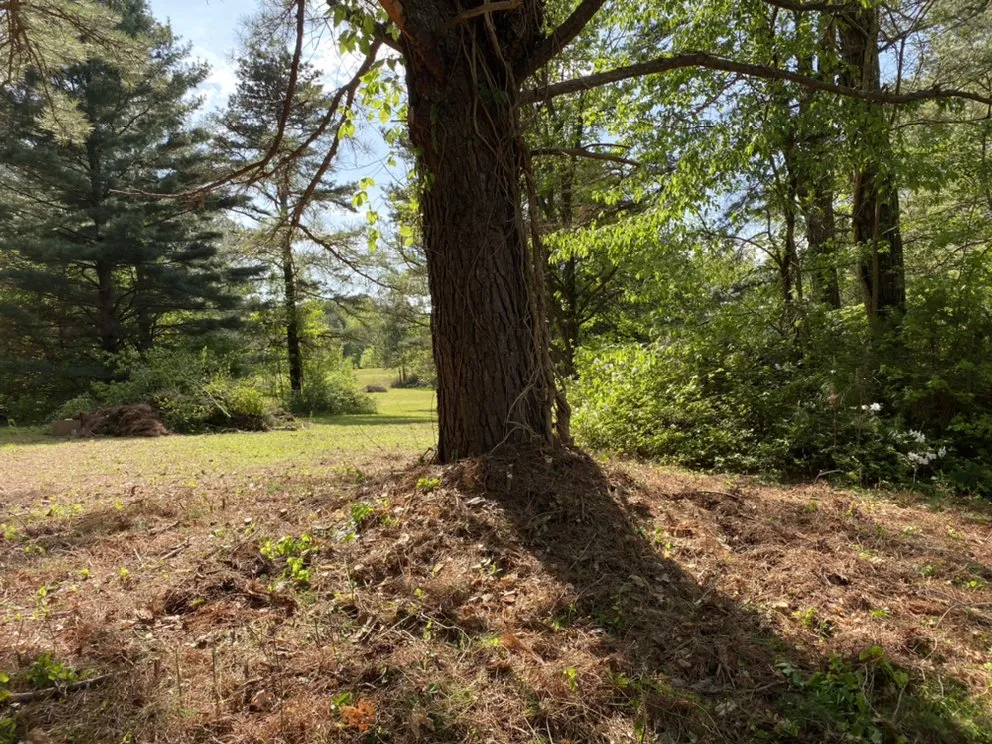 Trusted residential landscaping in Mineral, VA - Top Quality Landscaping