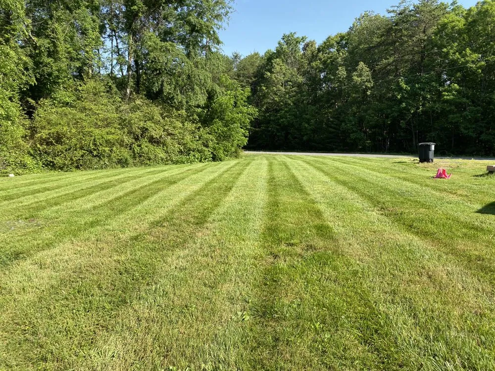 Trusted lawn mowing service in Mineral, VA - Top Quality Landscaping