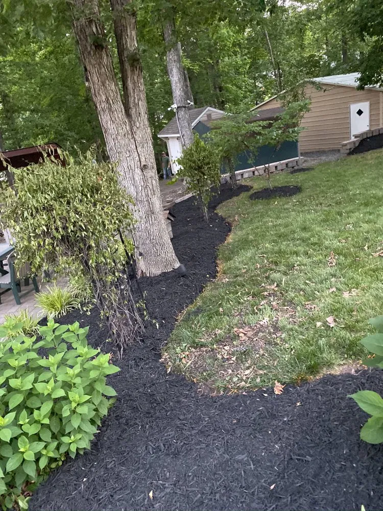 Local yard cleanup service near you in Mineral, VA by Top Quality Landscaping
