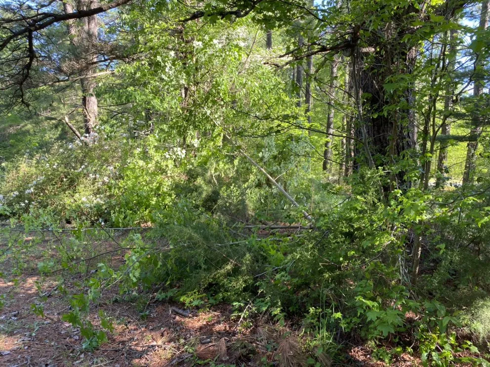 Custom garden landscaping in Mineral, VA - Top Quality Landscaping