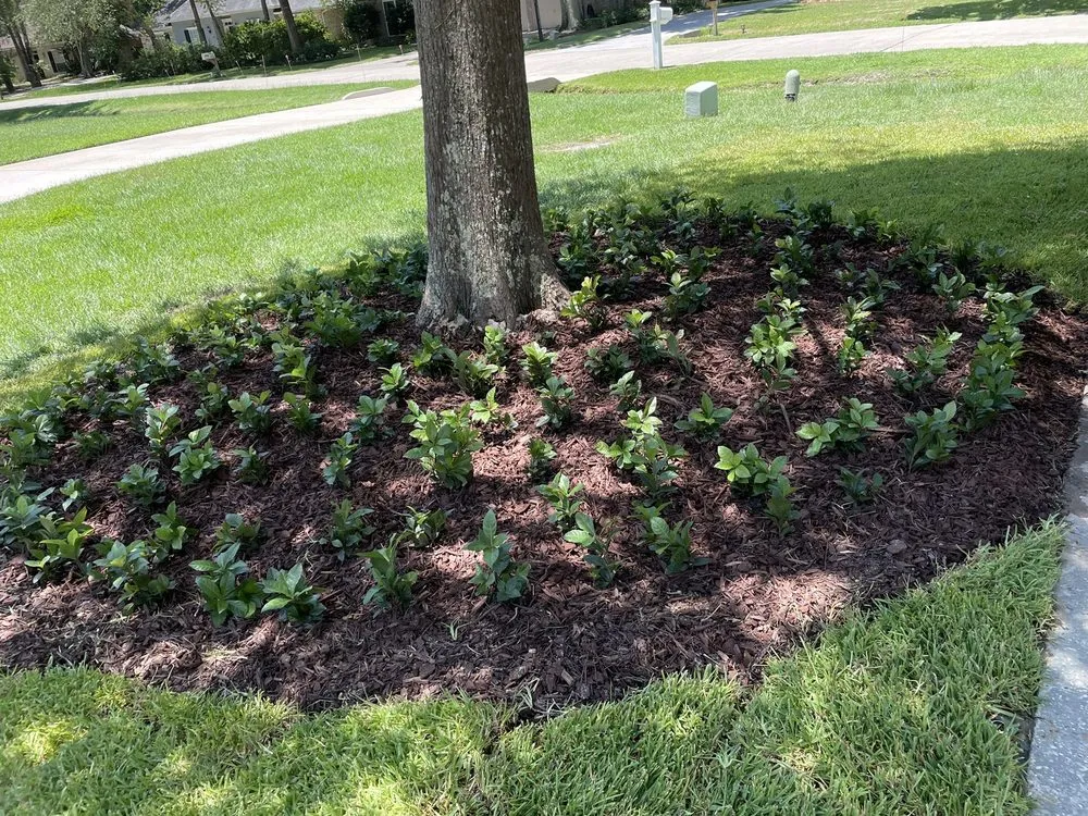 Top-rated lawn care service near you across Covington, LA - Top Quality Outdoor Services