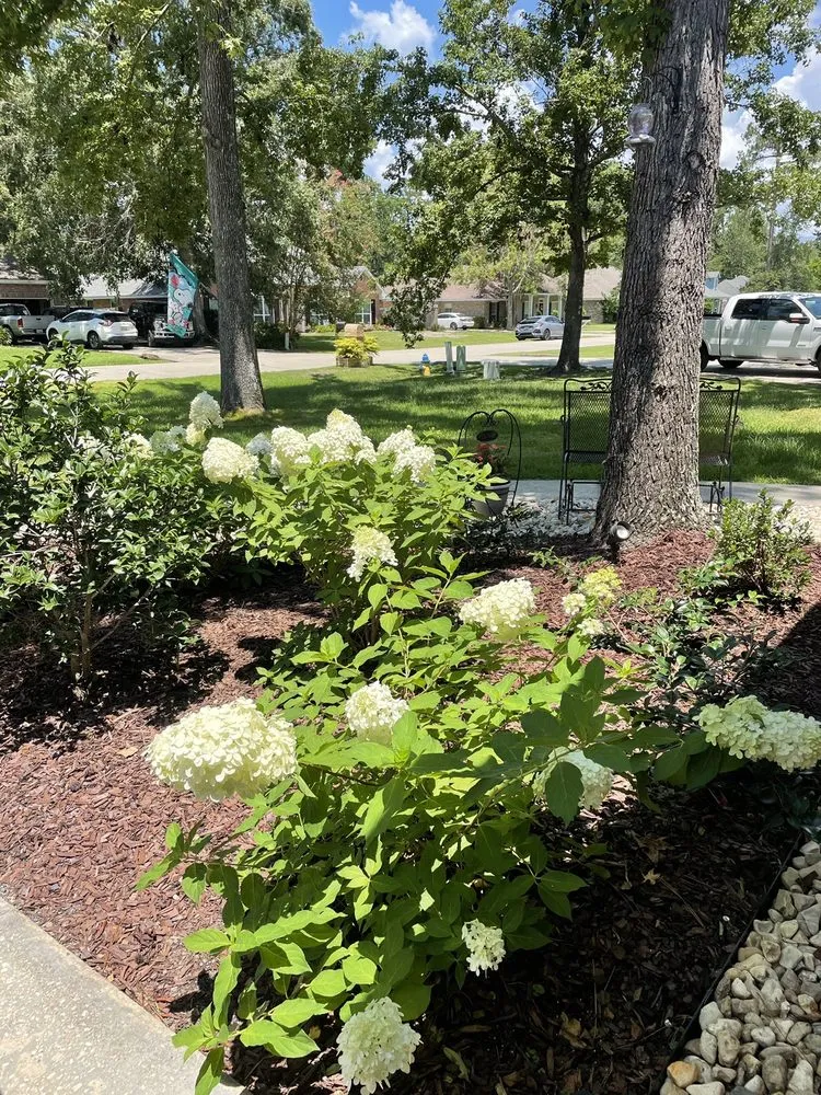 Local garden landscaping for outdoor upgrades across Covington, LA - Top Quality Outdoor Services