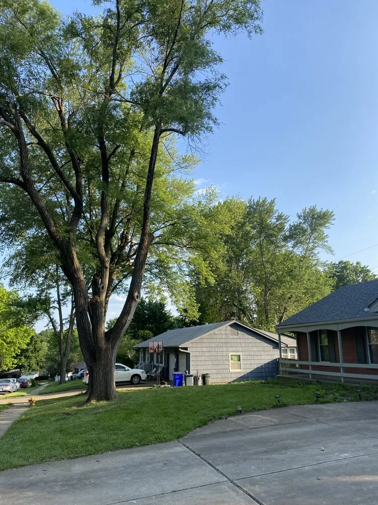 Affordable landscape installation for year-round maintenance in Kansas City, MO by Top Quality Tree & Lawn Service