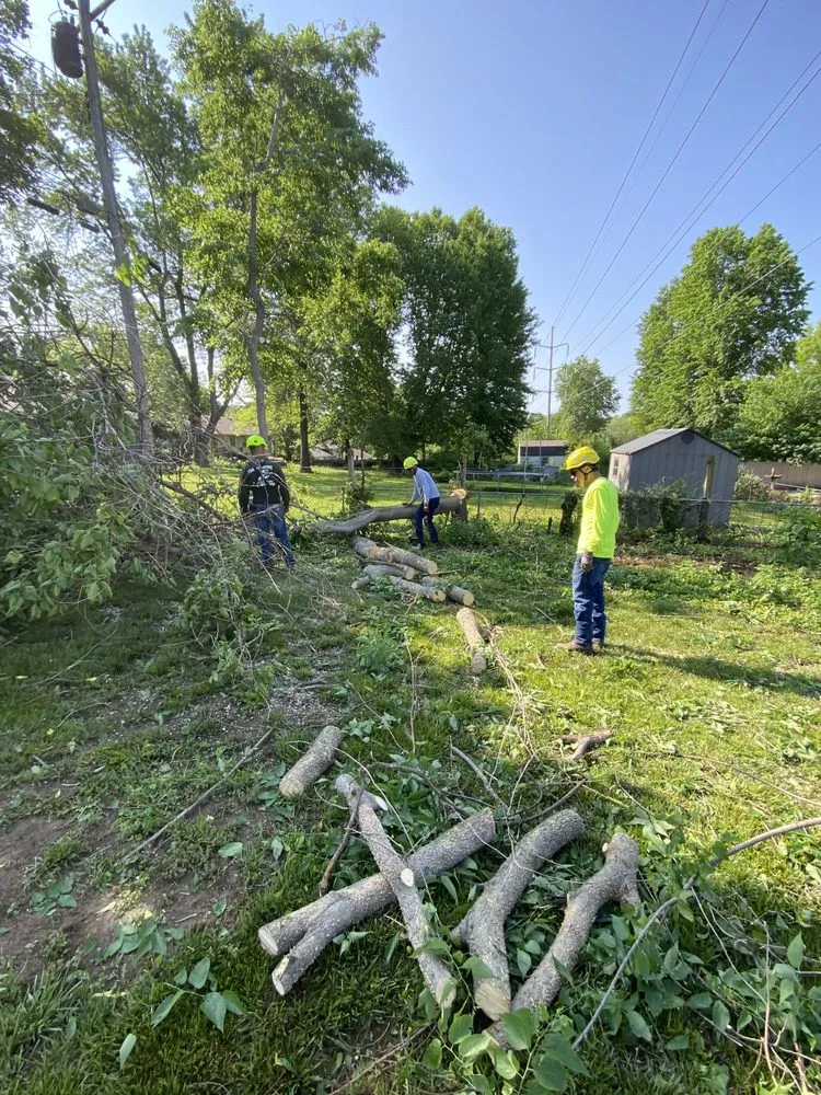 Trusted garden landscaping in Kansas City, MO by Top Quality Tree & Lawn Service