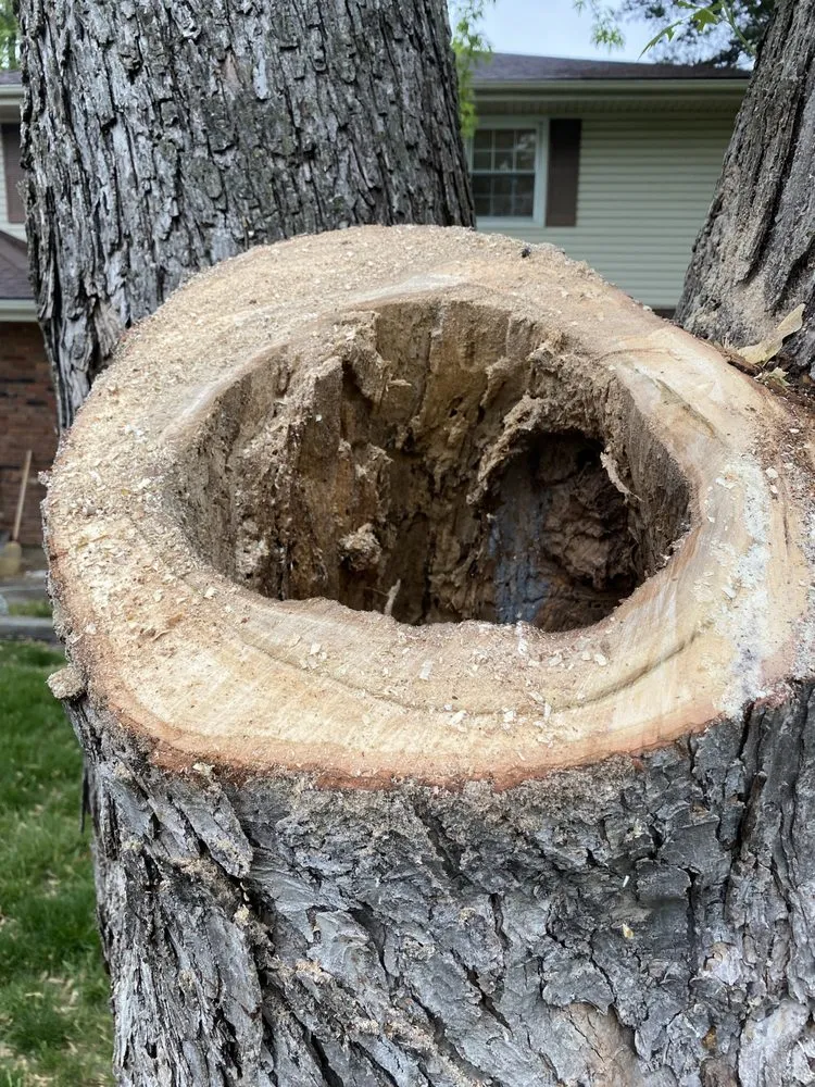 Reliable landscape design with custom design in Kansas City, MO by Top Quality Tree & Lawn Service