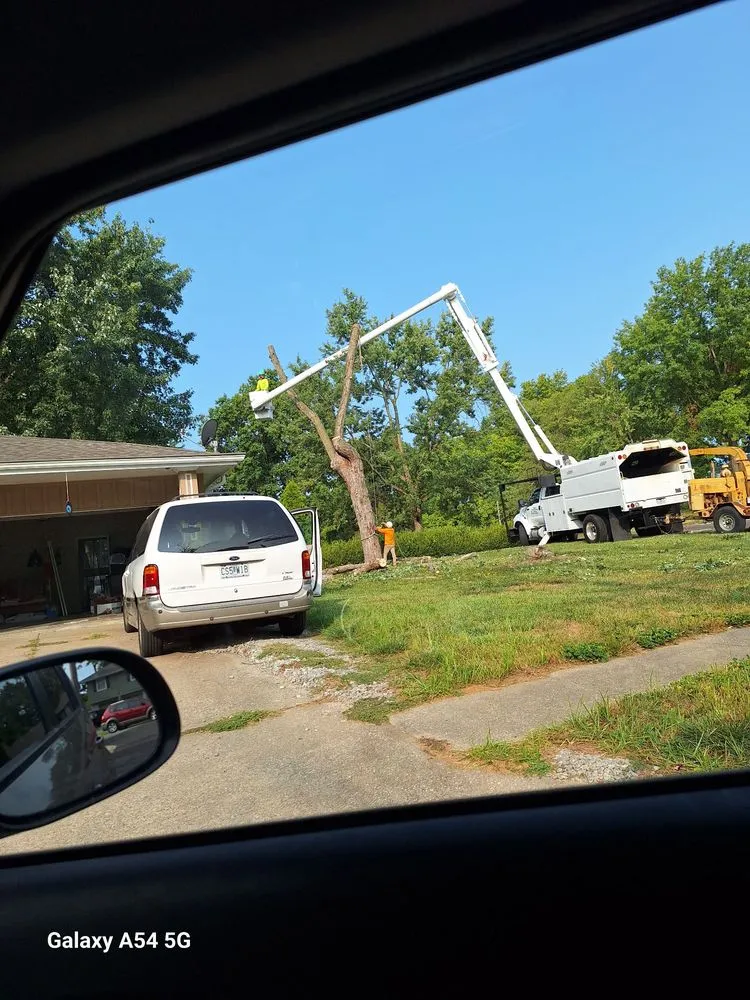 Trusted lawn care service for beautiful yards in Kansas City, MO by Top Quality Tree & Lawn Service