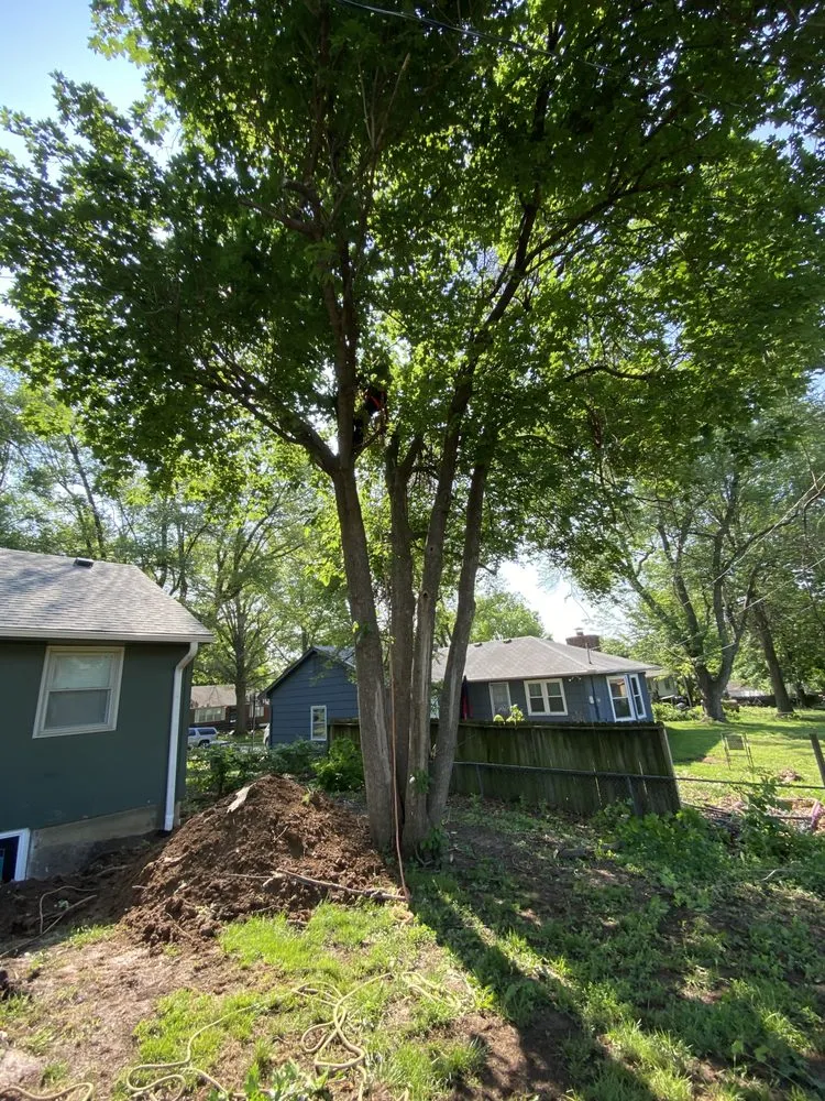 Local residential landscaping in Kansas City, MO - Top Quality Tree & Lawn Service