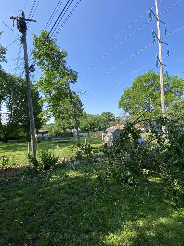 Reliable landscape installation in Kansas City, MO - Top Quality Tree & Lawn Service