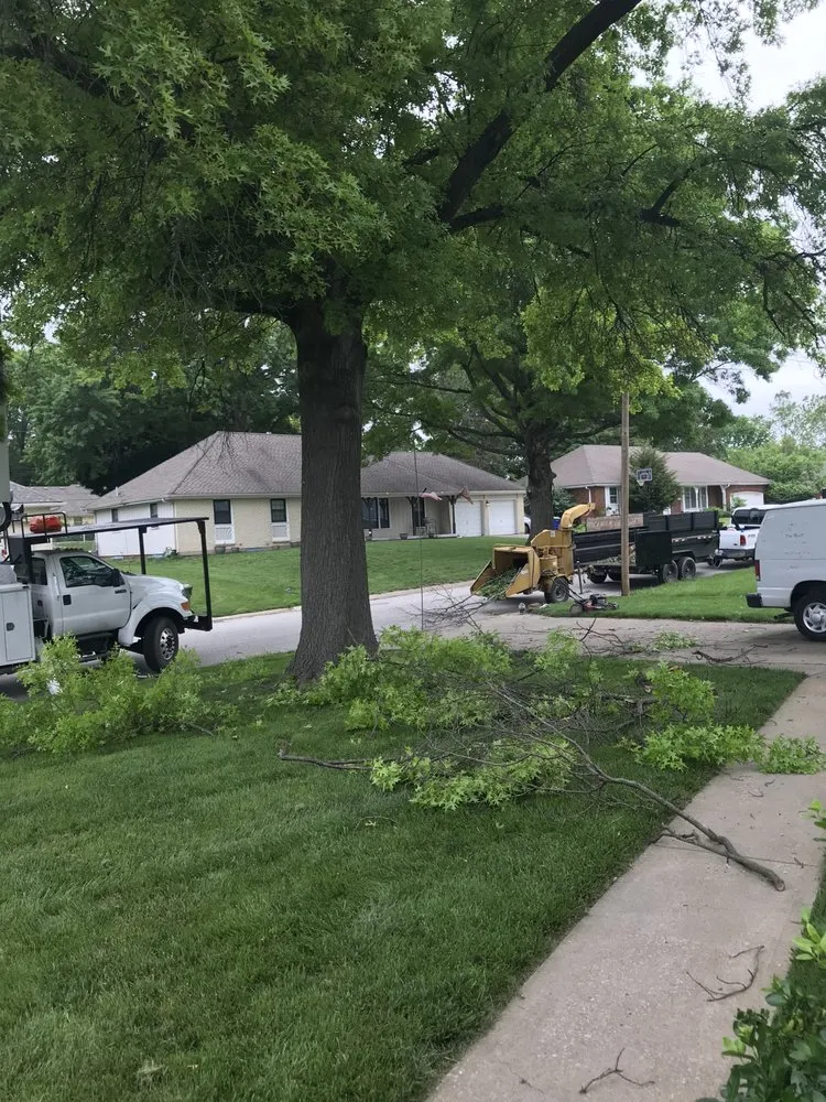 Local landscape installation with custom design across Kansas City, MO - Top Quality Tree & Lawn Service