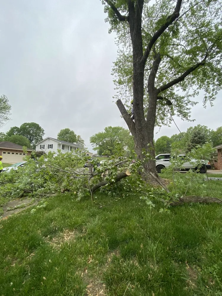 Top-rated yard maintenance experts serving Kansas City, MO - Top Quality Tree & Lawn Service