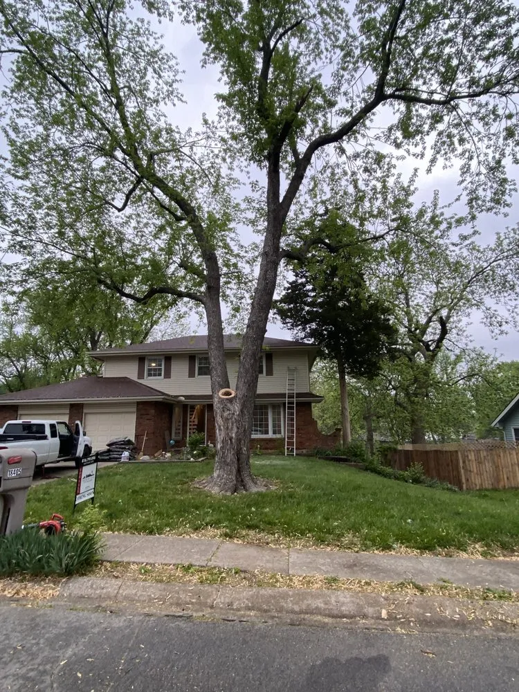 Professional yard maintenance for beautiful yards across Kansas City, MO - Top Quality Tree & Lawn Service