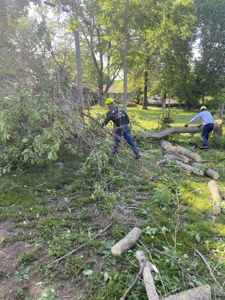 Reliable landscape design in Kansas City, MO - Top Quality Tree & Lawn Service