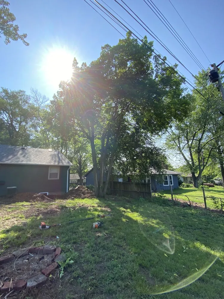 Affordable landscape installation in Kansas City, MO by Top Quality Tree & Lawn Service