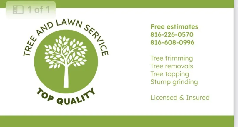 Custom lawn mowing service in Kansas City, MO - Top Quality Tree & Lawn Service