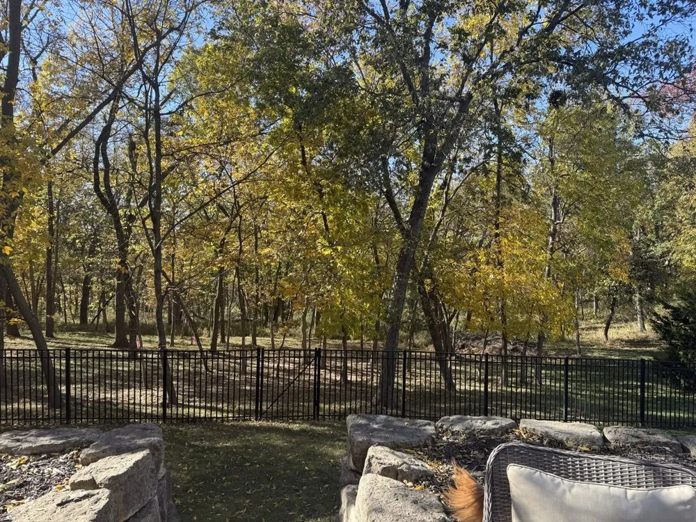 Trusted yard cleanup service near you in Kansas City, MO by Top Quality Tree & Lawn Service