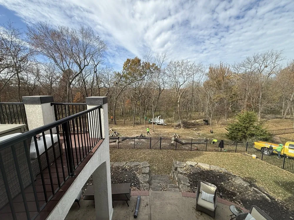 Trusted yard cleanup service experts serving Kansas City, MO - Top Quality Tree & Lawn Service