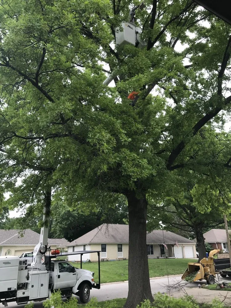 Top-rated garden landscaping experts serving Kansas City, MO - Top Quality Tree & Lawn Service