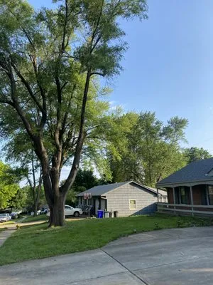 Top Quality Tree & Lawn Service Logo