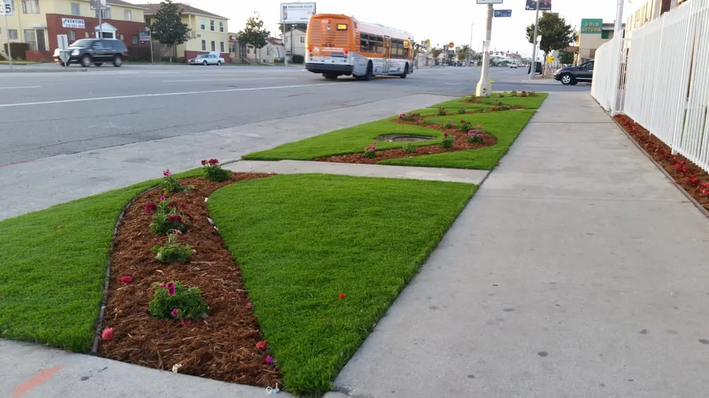 Local landscaping services near you in Santa Monica, CA by Top Quality Turf