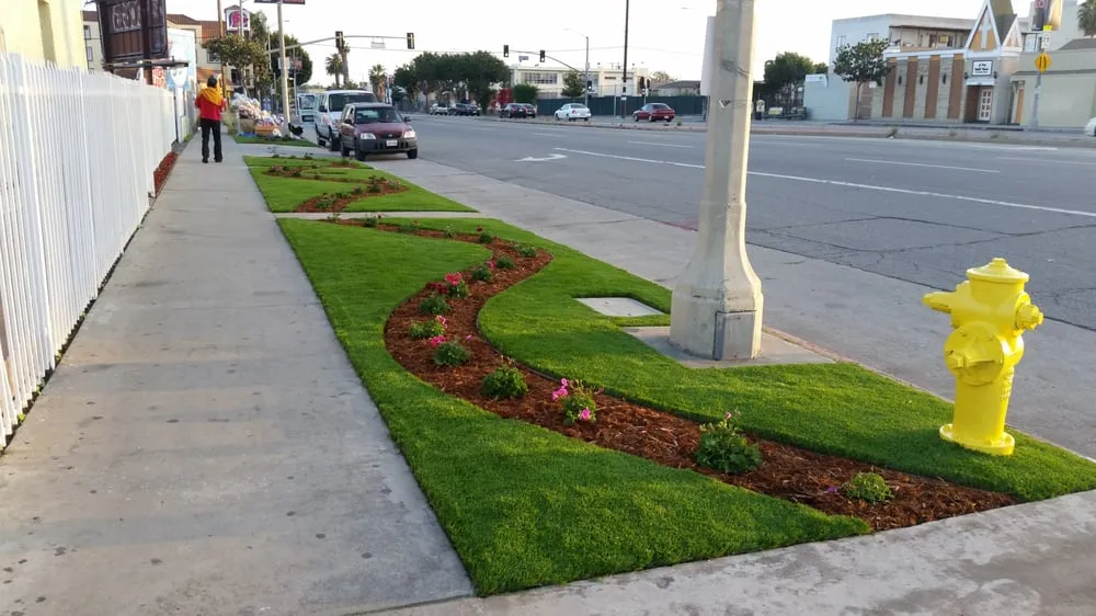 Custom residential landscaping experts serving Santa Monica, CA - Top Quality Turf
