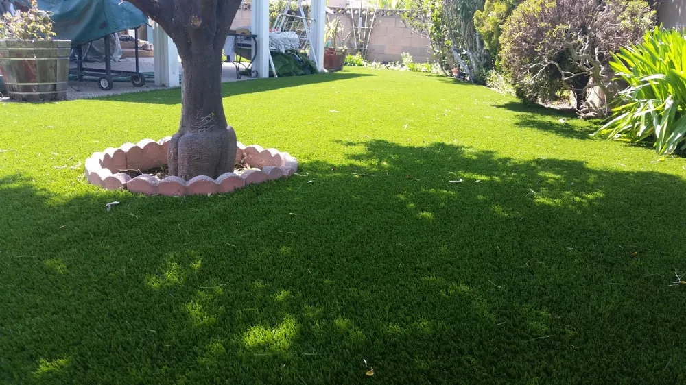 Custom garden landscaping in Santa Monica, CA by Top Quality Turf