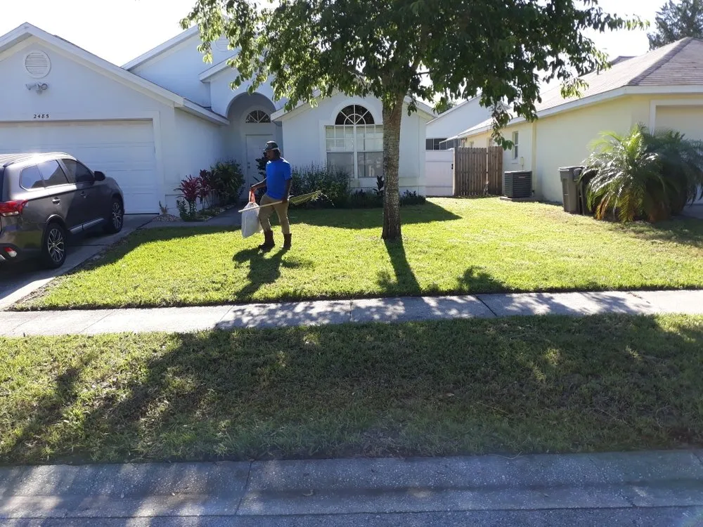 Trusted yard cleanup service for homes across Apopka, FL - Top Rank cuts