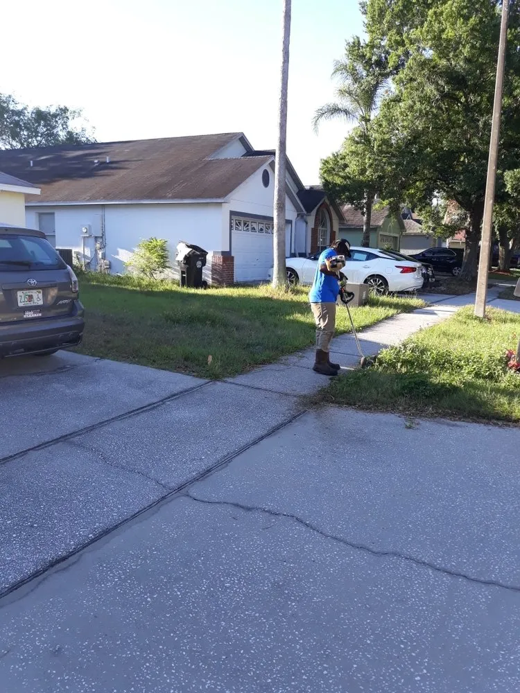 Reliable lawn care service for residential properties across Apopka, FL - Top Rank cuts