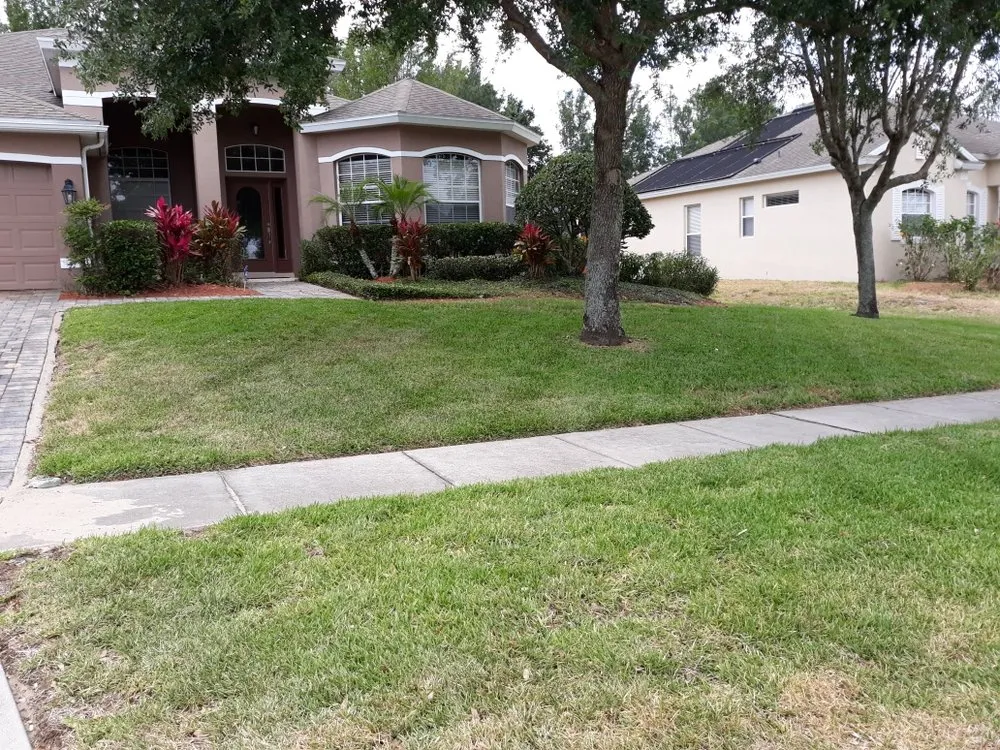 Expert landscape installation near you across Apopka, FL - Top Rank cuts